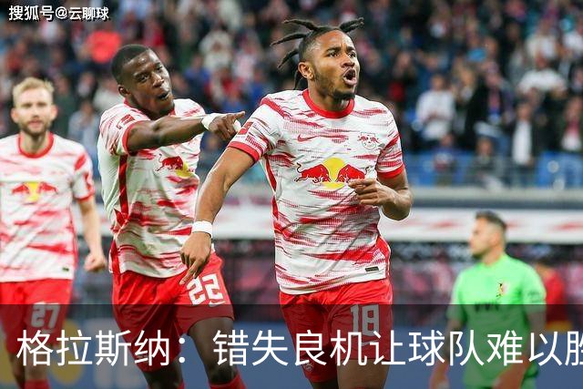 格拉斯纳：错失良机让球队难以胜出